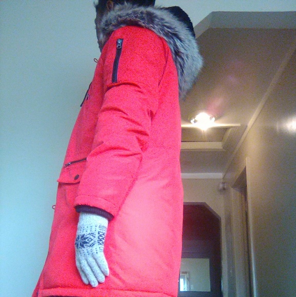 Winter Coat - Picture 3 of 4